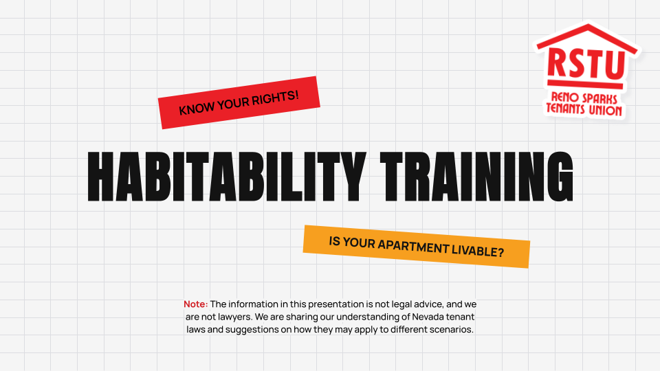 Know Your Rights: Habitability